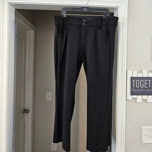 Torrid Studio bootcut